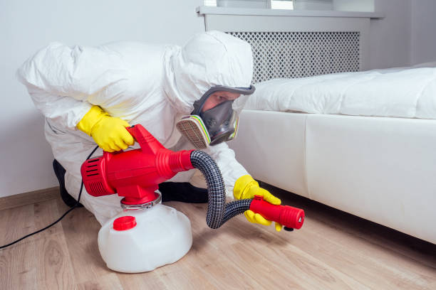 Best Affordable Pest Control Services  in Arnold Line, MS