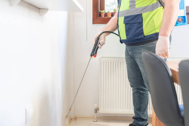 Flea Control Services in Arnold Line, MS