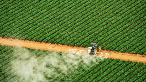 Best Best Pest Control Companies  in Arnold Line, MS